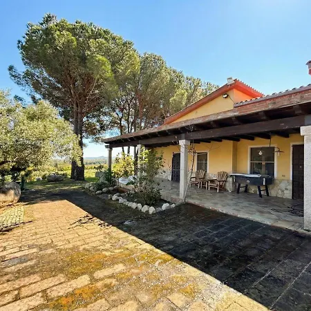 Is Cherchis - Pool Yellow Daire Olia Speciosa