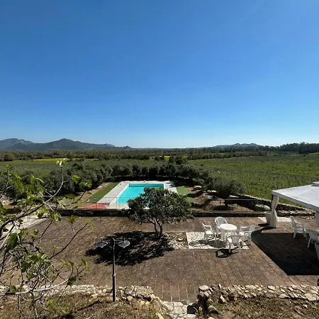 Is Cherchis - Pool Yellow *